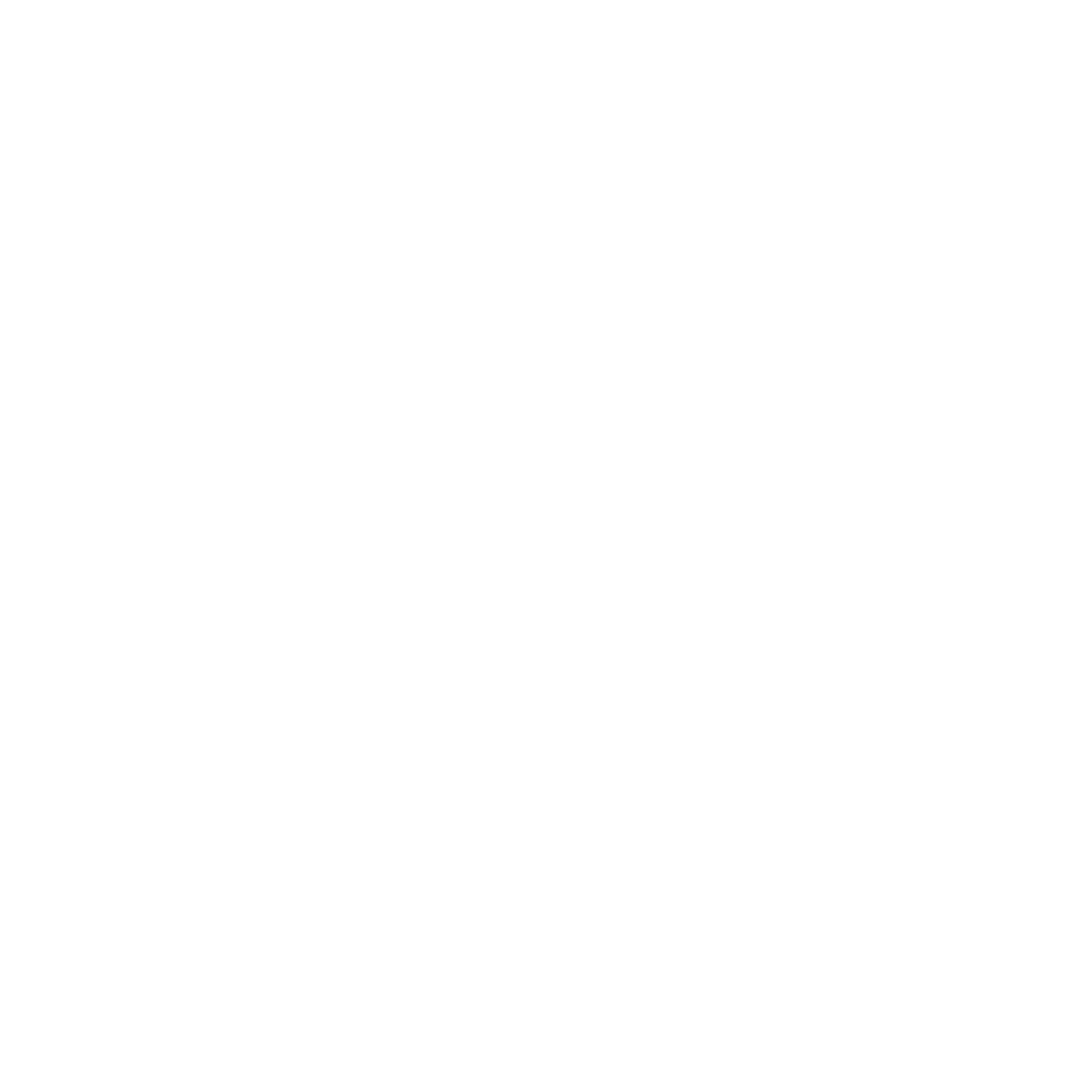 JFS Holdings Logo